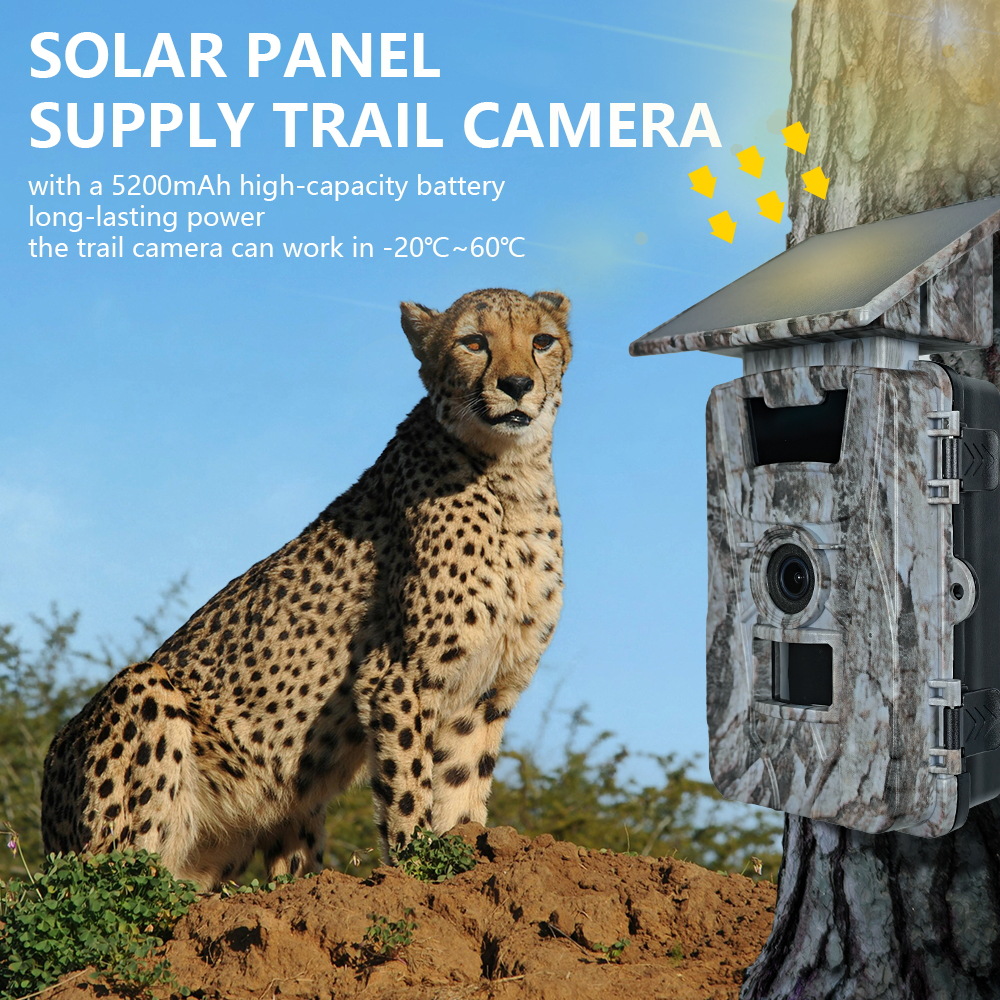 Solar WiFi 4K 60MP Hunting Cam - Outdoor Hunting Photography avaliação e preço