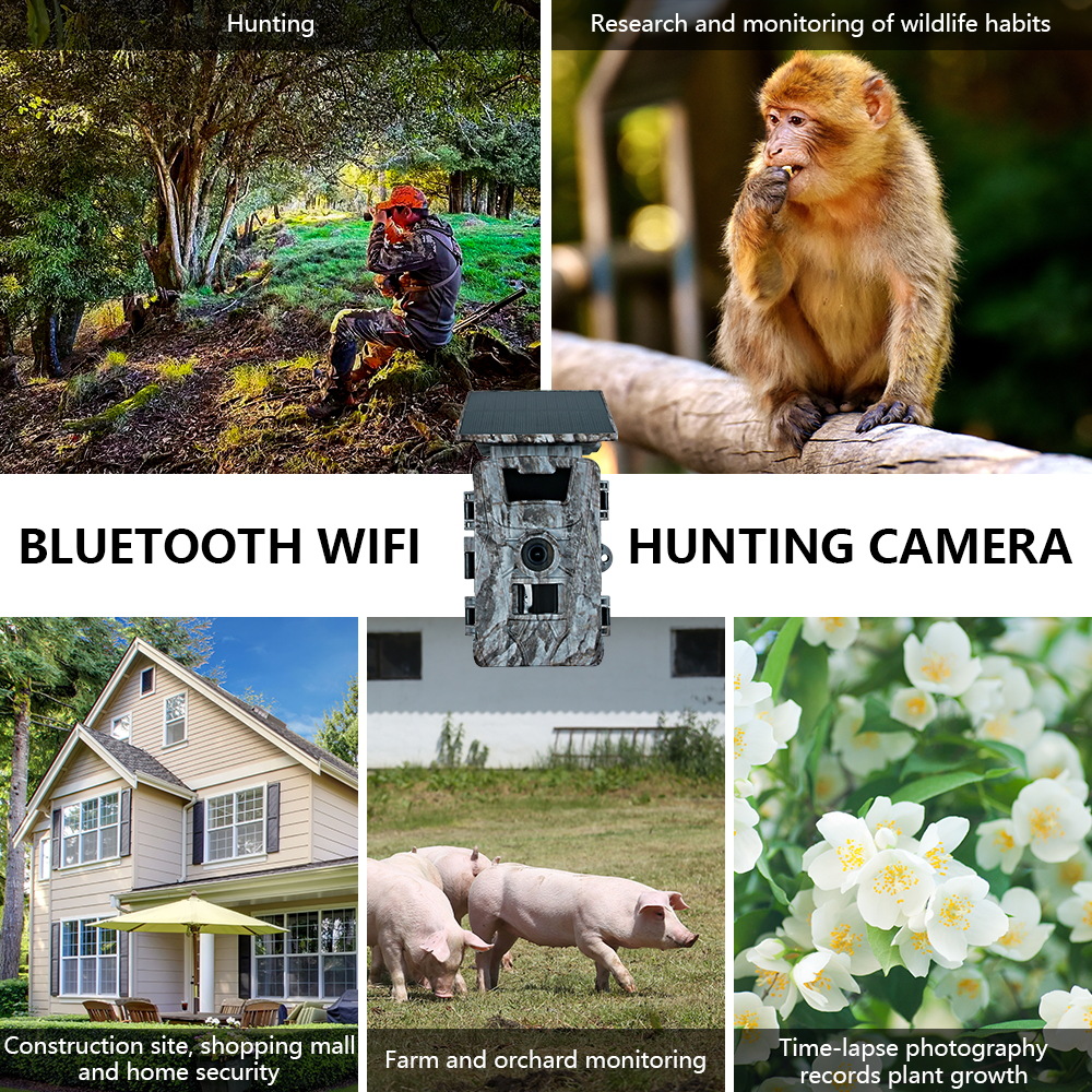 Solar WiFi 4K 60MP Hunting Cam - Outdoor Hunting Photography avaliação e preço