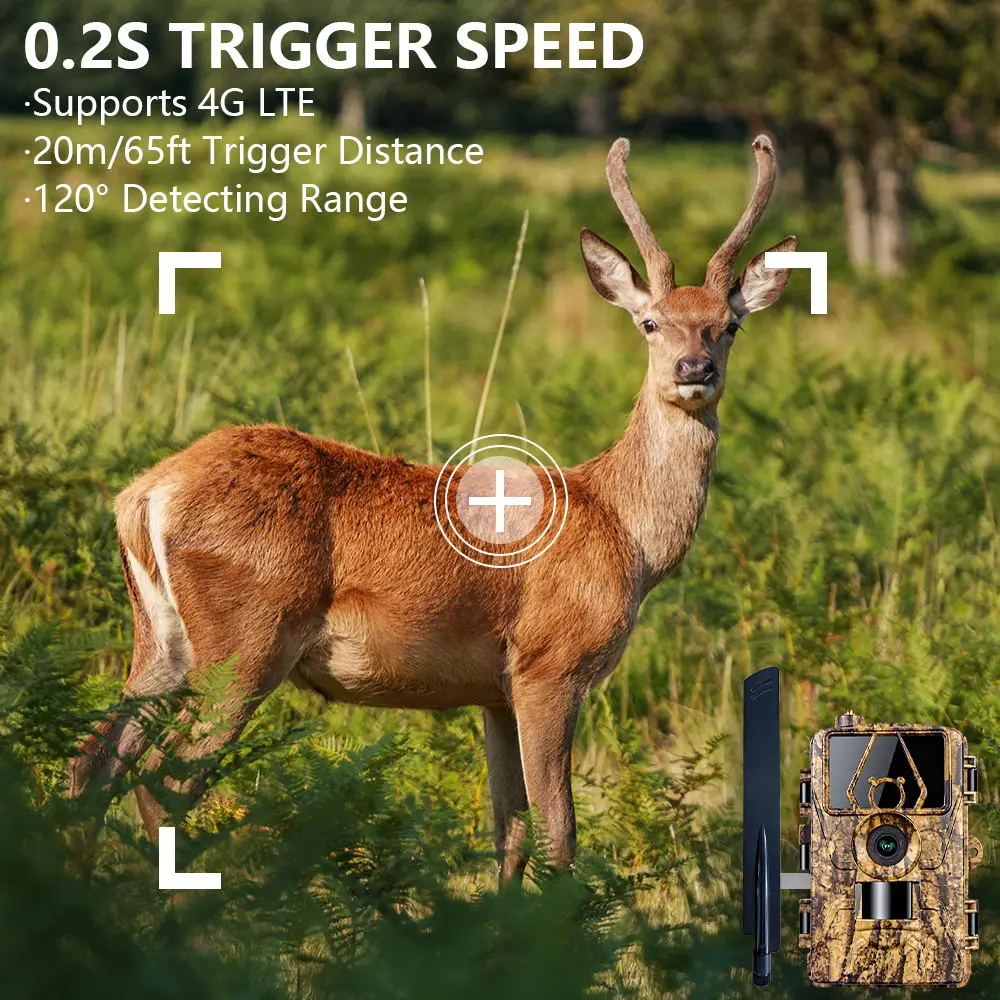 Pr801 4G Network Observation H - Outdoor Hunting House avaliação e preço